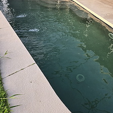 Top-quality-Green-to-Clean-performed-in-Bradenton-Florida-We-are-Algae-and-stain-removal-experts 1